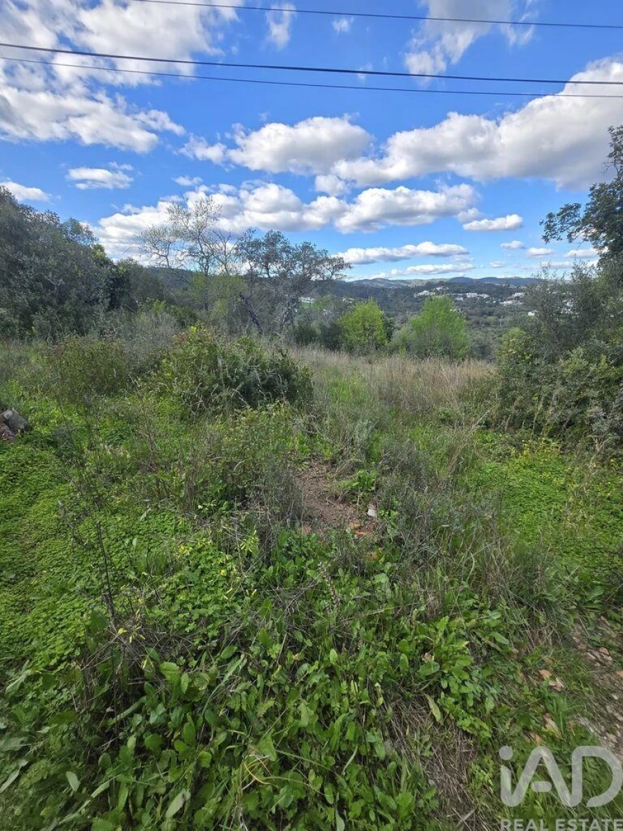 Terreno para Venda em São Brás de Alportel Foto 25