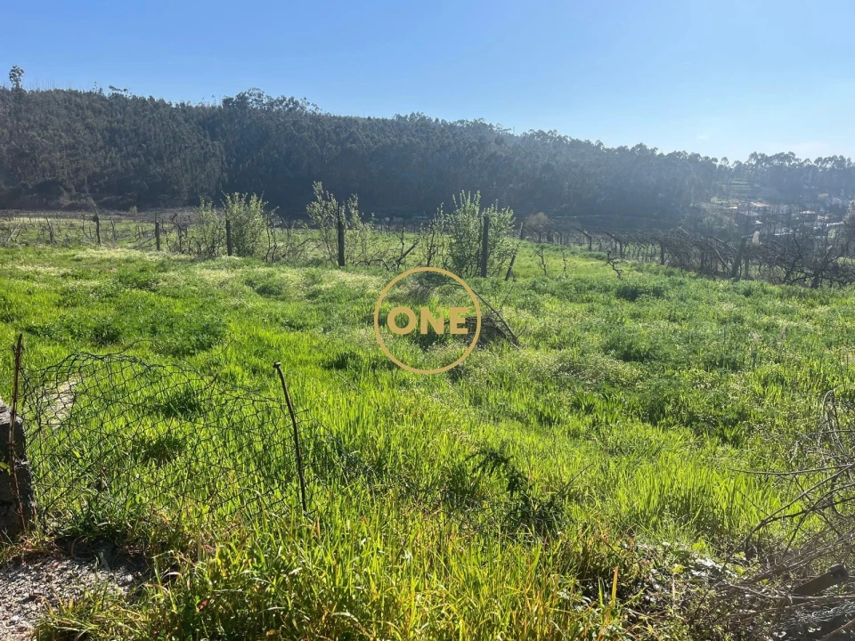 Terreno para Venda em Croca Foto 2