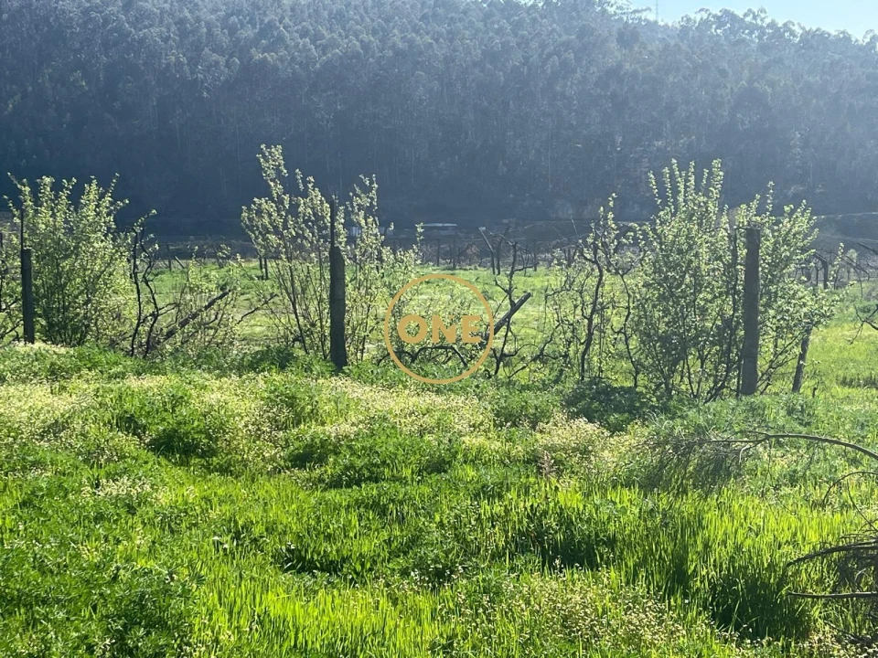 Terreno para Venda em Croca Foto 5