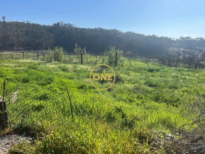 Terreno para Venda em Croca Foto 2