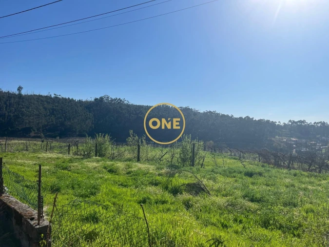 Terreno para Venda em Croca Foto 3