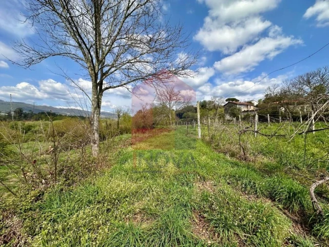 Moradia T6 para Venda em Lanhas Foto 67