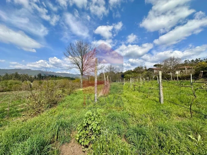 Moradia T6 para Venda em Lanhas Foto 63