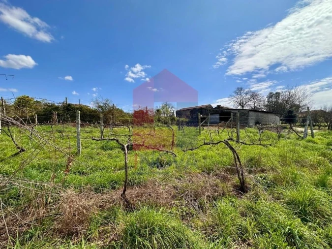 Moradia T6 para Venda em Lanhas Foto 68