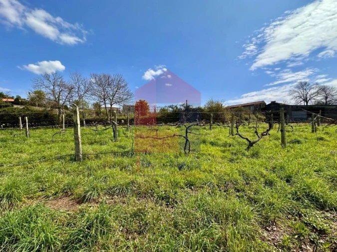 Moradia T6 para Venda em Lanhas Foto 71