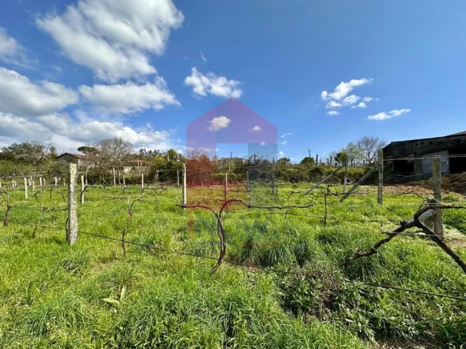 Moradia T6 para Venda em Lanhas Foto 65