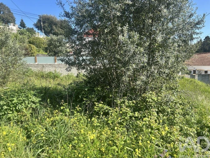 Terreno para Venda em Venda do Pinheiro e Santo Estêvão das Galés Foto 25