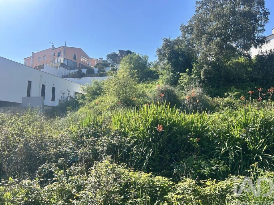 Terreno para Venda em Venda do Pinheiro e Santo Estêvão das Galés Foto 20
