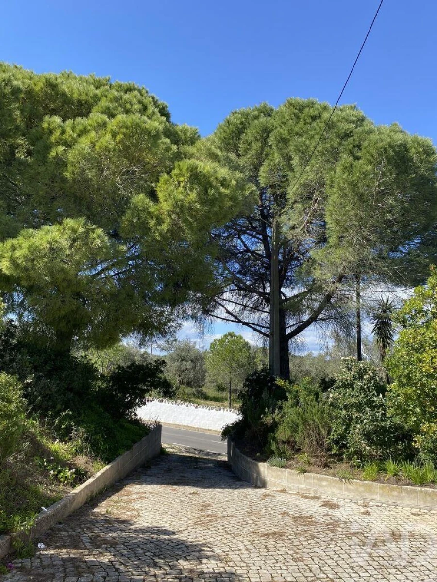 Quinta T3 para Venda em Faro (Sé e São Pedro) Foto 9