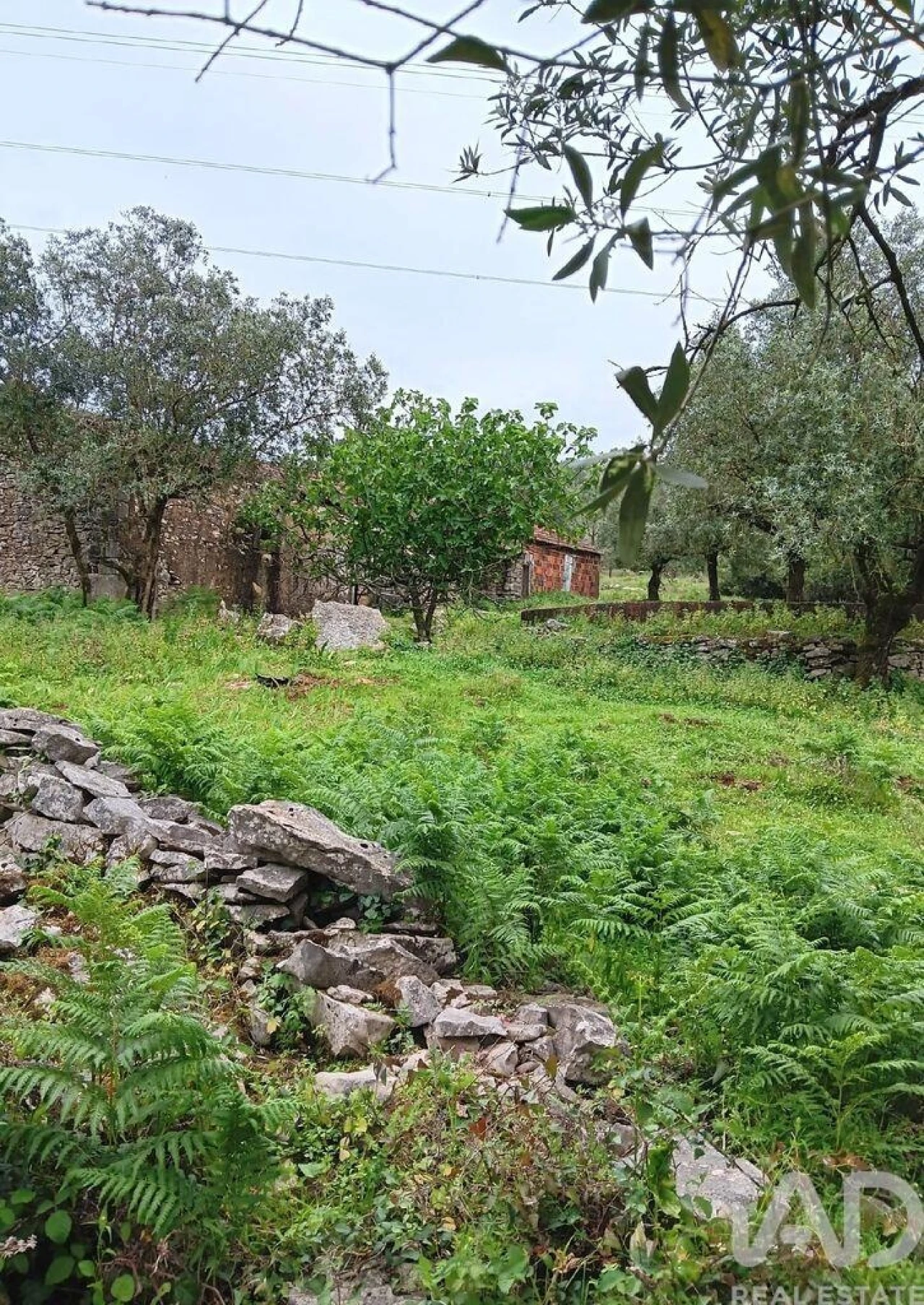 Moradia para Venda em Alcobaça e Vestiaria Foto 8