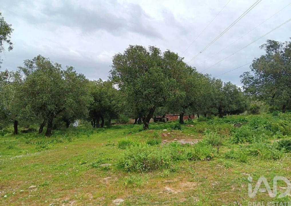 Moradia para Venda em Alcobaça e Vestiaria Foto 4