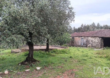 Moradia para Venda em Alcobaça e Vestiaria