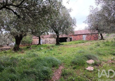 Moradia para Venda em Alcobaça e Vestiaria