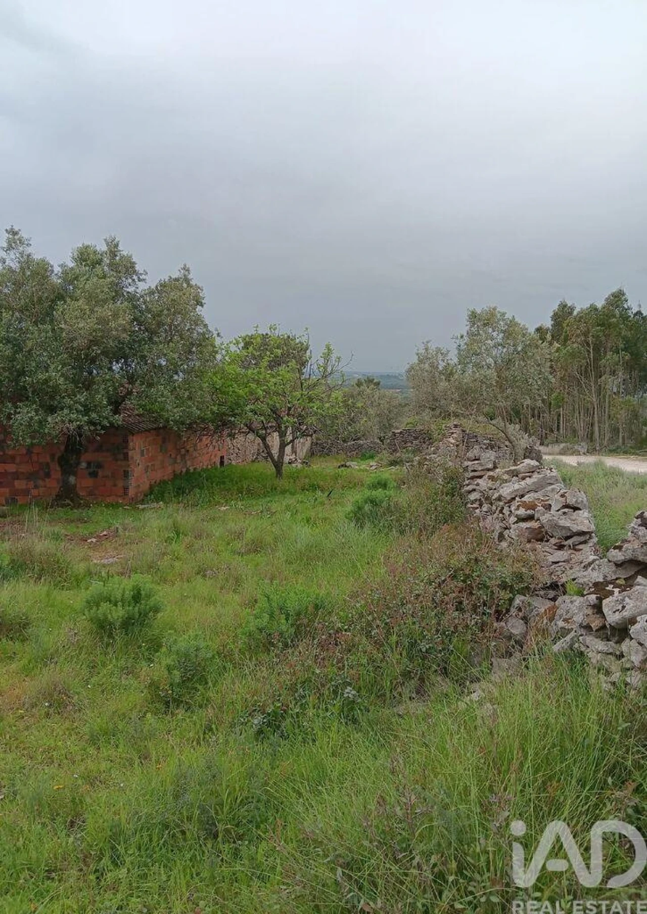 Moradia para Venda em Alcobaça e Vestiaria Foto 3