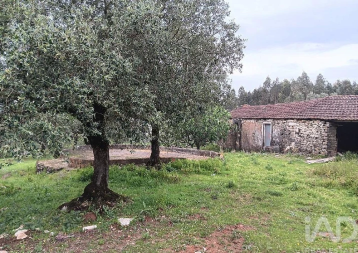 Moradia para Venda em Alcobaça e Vestiaria Foto 7