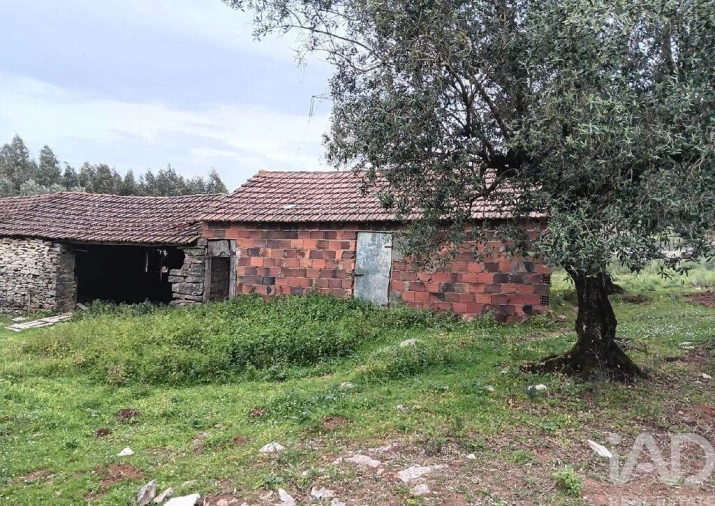 Moradia para Venda em Alcobaça e Vestiaria Foto 6