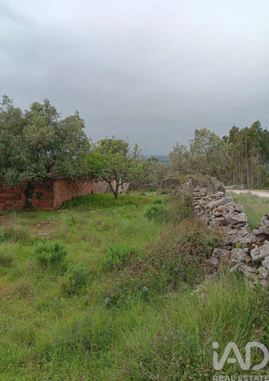 Moradia para Venda em Alcobaça e Vestiaria Foto 3