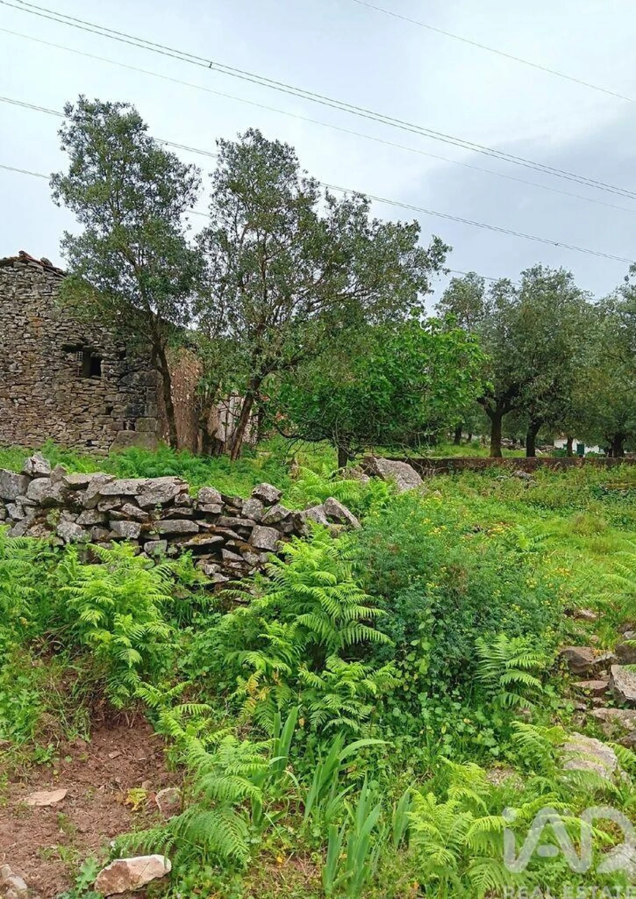 Moradia para Venda em Alcobaça e Vestiaria Foto 9