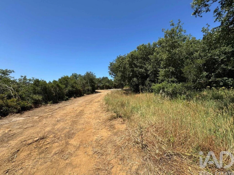 Terreno para Venda em Almargem do Bispo, Pêro Pinheiro e Montelavar Foto 9