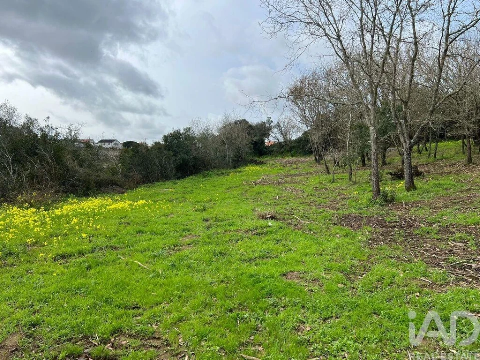 Terreno para Venda em Almargem do Bispo, Pêro Pinheiro e Montelavar Foto 16