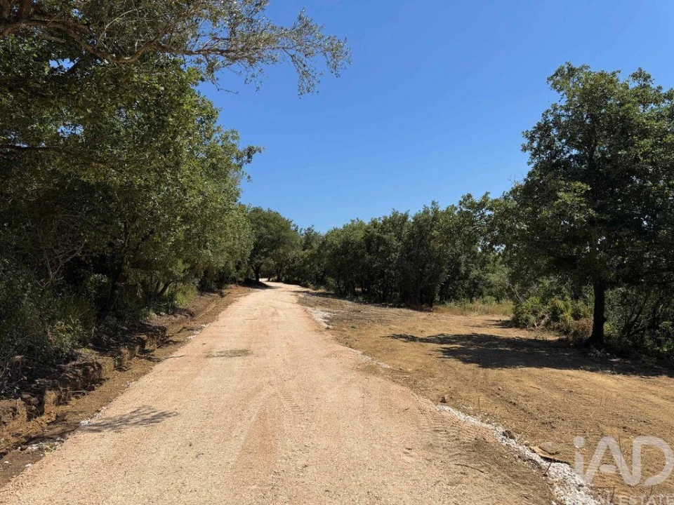 Terreno para Venda em Almargem do Bispo, Pêro Pinheiro e Montelavar Foto 35
