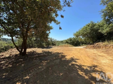 Terreno para Venda em Almargem do Bispo, Pêro Pinheiro e Montelavar