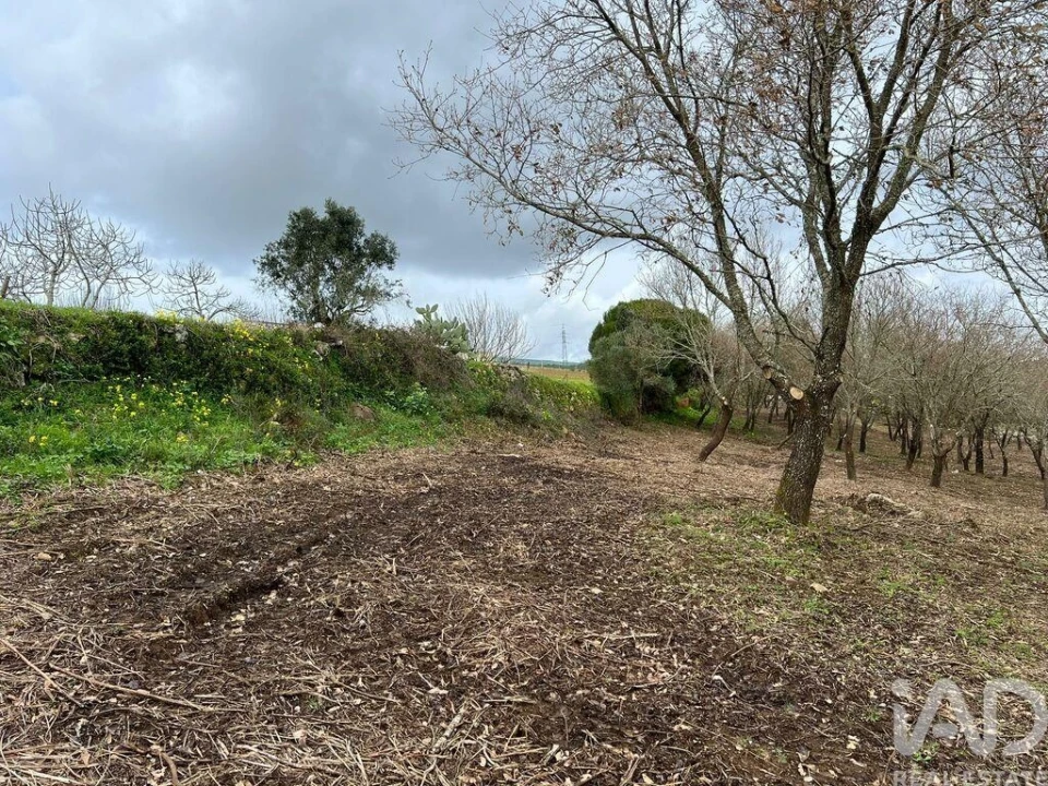 Terreno para Venda em Almargem do Bispo, Pêro Pinheiro e Montelavar Foto 10