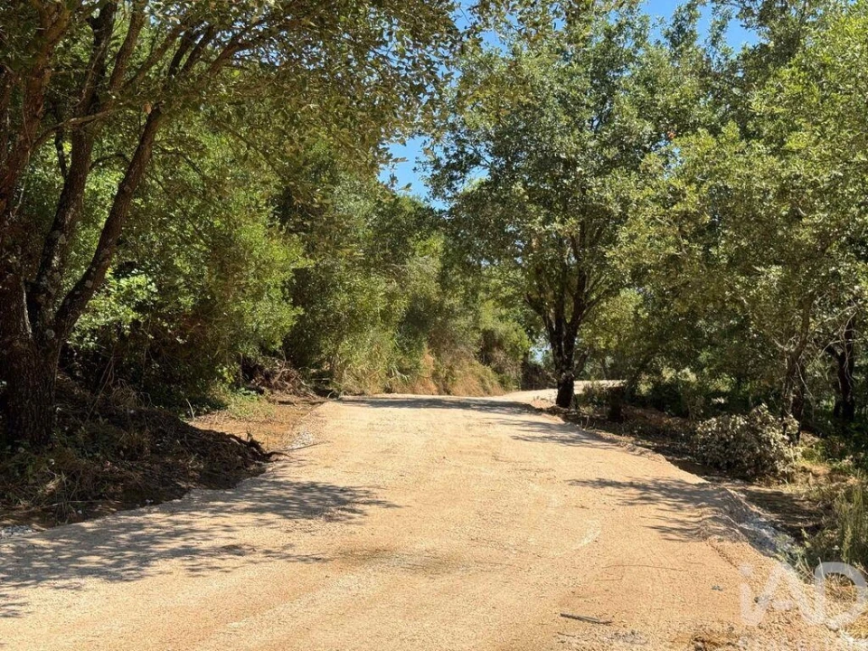 Terreno para Venda em Almargem do Bispo, Pêro Pinheiro e Montelavar Foto 32