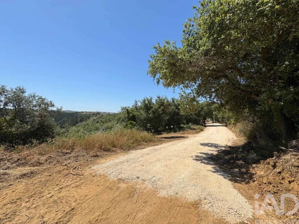 Terreno para Venda em Almargem do Bispo, Pêro Pinheiro e Montelavar Foto 21