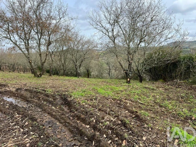 Terreno para Venda em Almargem do Bispo, Pêro Pinheiro e Montelavar Foto 2