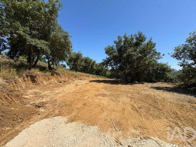 Terreno para Venda em Almargem do Bispo, Pêro Pinheiro e Montelavar Foto 15