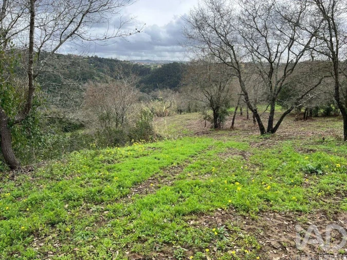 Terreno para Venda em Almargem do Bispo, Pêro Pinheiro e Montelavar Foto 12