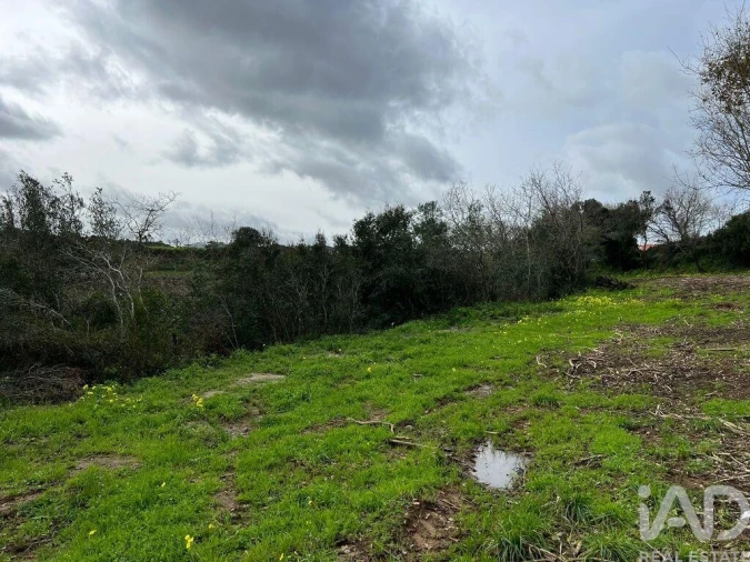 Terreno para Venda em Almargem do Bispo, Pêro Pinheiro e Montelavar Foto 6