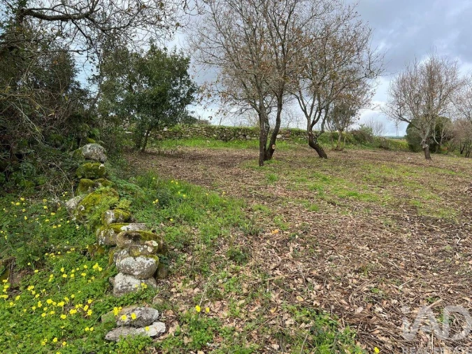 Terreno para Venda em Almargem do Bispo, Pêro Pinheiro e Montelavar Foto 15