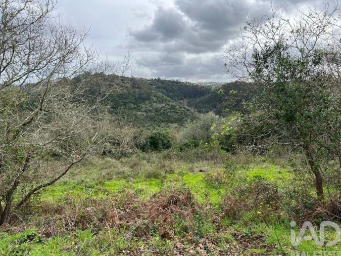 Terreno para Venda em Almargem do Bispo, Pêro Pinheiro e Montelavar Foto 8