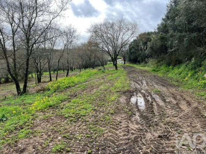 Terreno para Venda em Almargem do Bispo, Pêro Pinheiro e Montelavar Foto 3