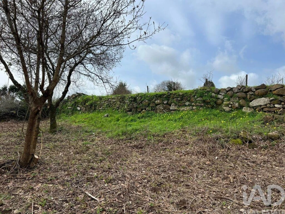 Terreno para Venda em Almargem do Bispo, Pêro Pinheiro e Montelavar Foto 5