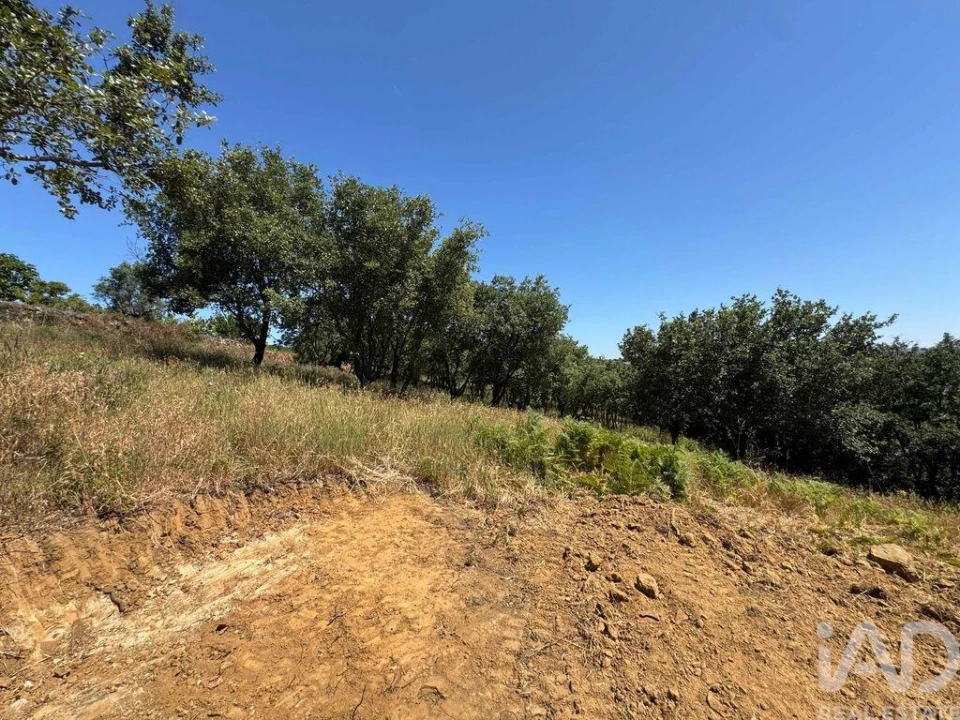 Terreno para Venda em Almargem do Bispo, Pêro Pinheiro e Montelavar Foto 19