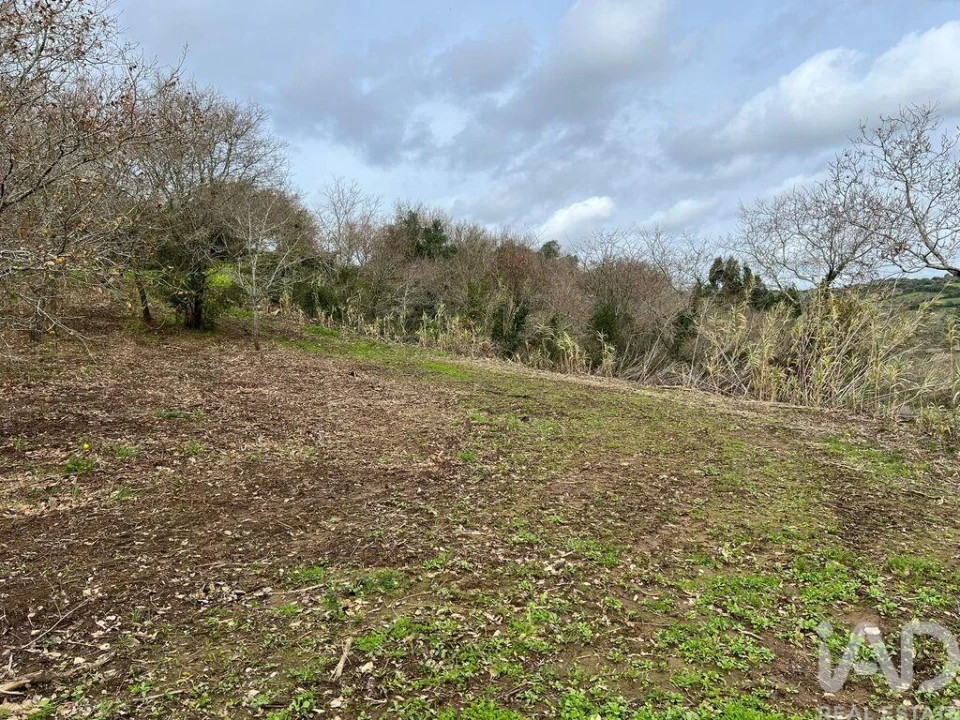 Terreno para Venda em Almargem do Bispo, Pêro Pinheiro e Montelavar Foto 7