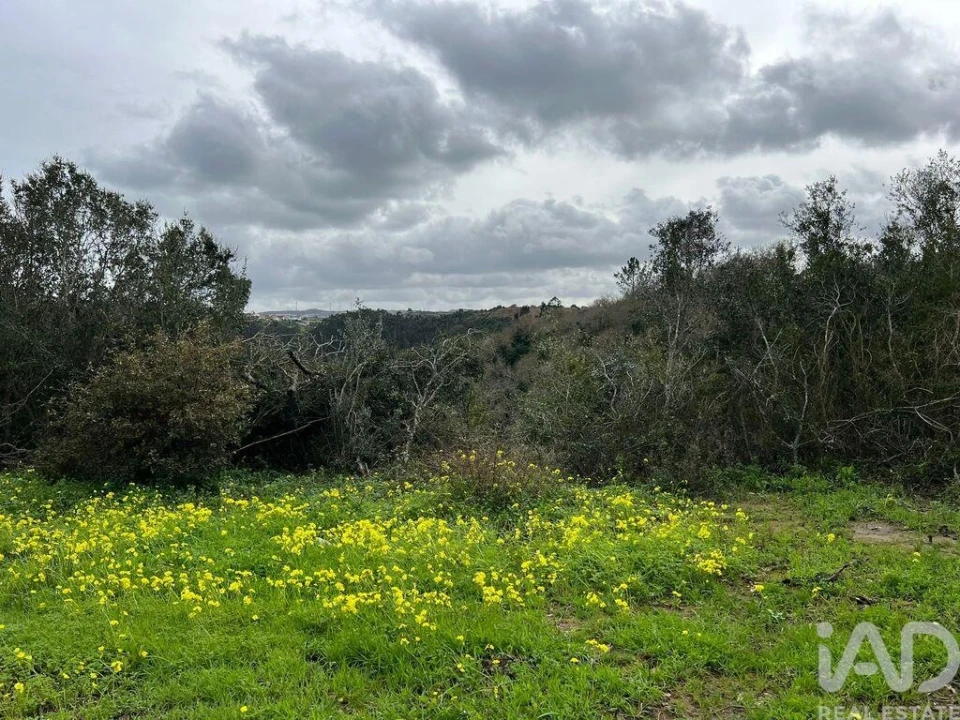 Terreno para Venda em Almargem do Bispo, Pêro Pinheiro e Montelavar Foto 11
