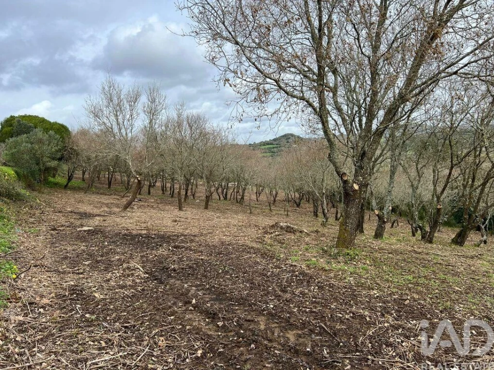 Terreno para Venda em Almargem do Bispo, Pêro Pinheiro e Montelavar Foto 1