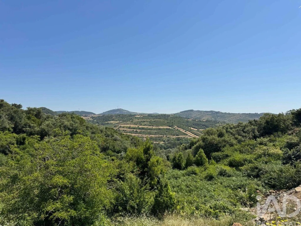 Terreno para Venda em Almargem do Bispo, Pêro Pinheiro e Montelavar Foto 4