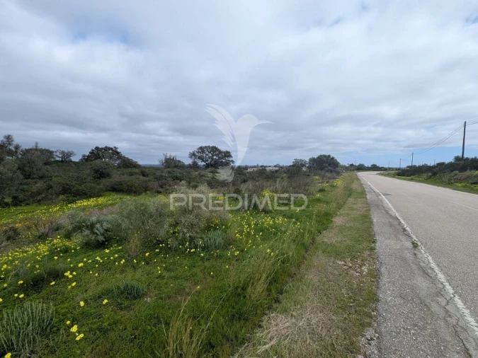 Terreno para Venda em Azinhal Foto 7