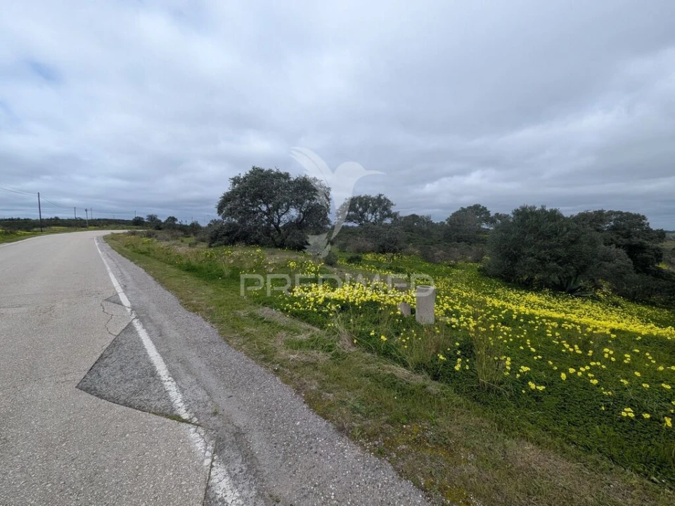 Terreno para Venda em Azinhal Foto 4