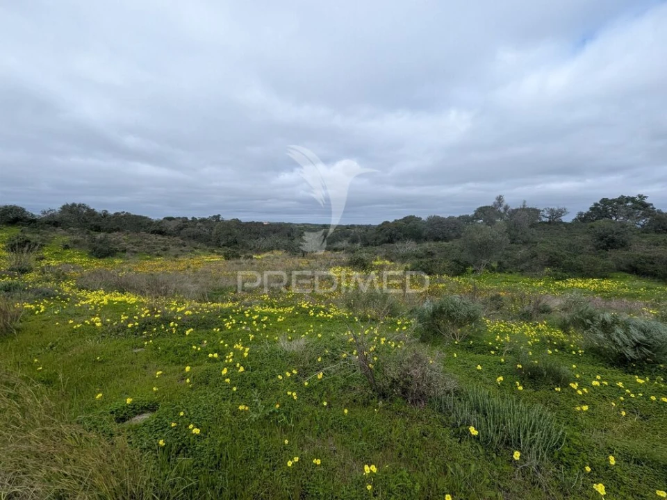 Terreno para Venda em Azinhal Foto 6