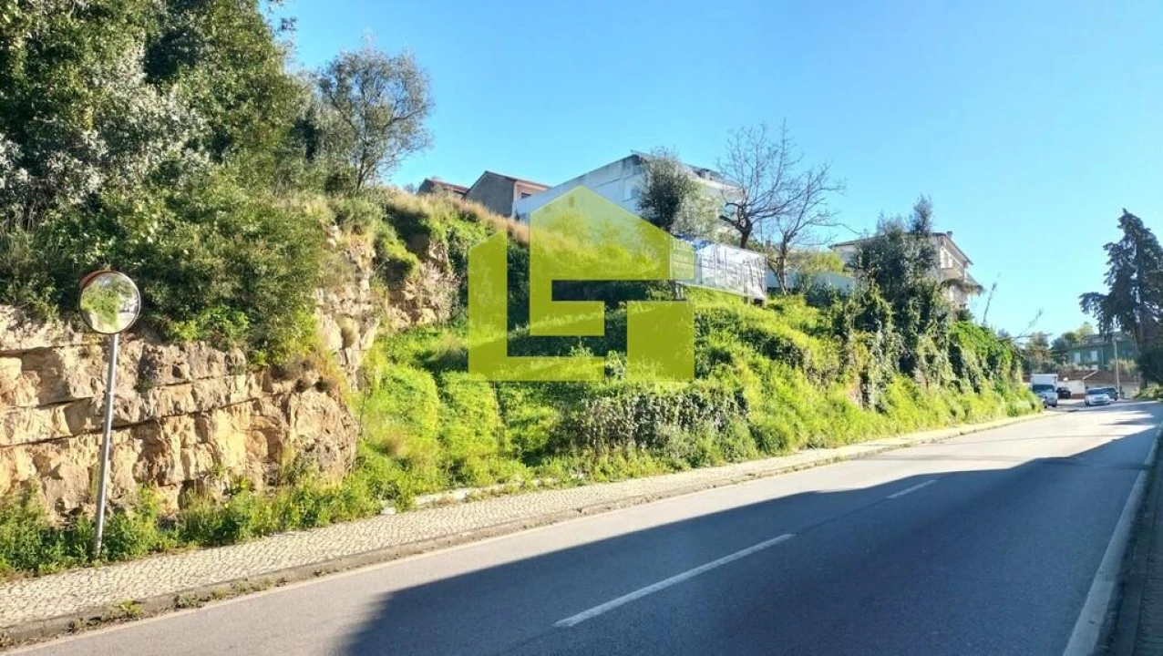 Terreno para Venda em Eiras e São Paulo de Frades Foto 5