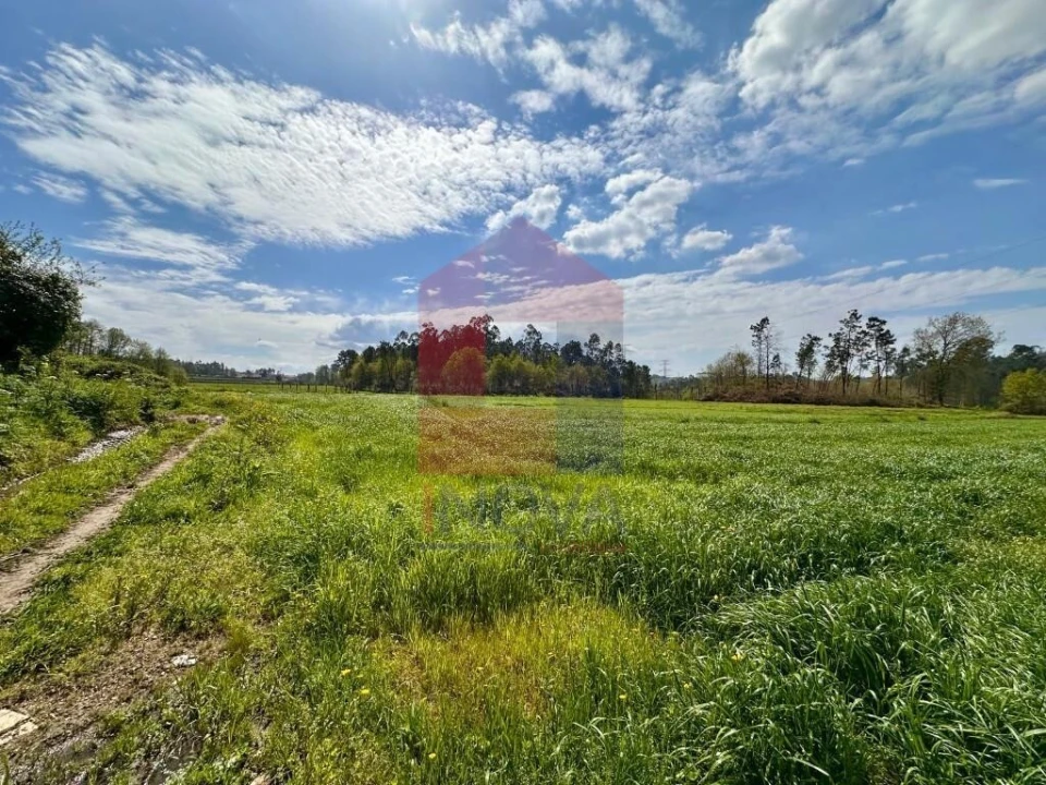 Terreno para Venda em Lanhas Foto 2