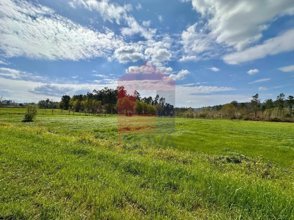 Terreno para Venda em Lanhas Foto 18