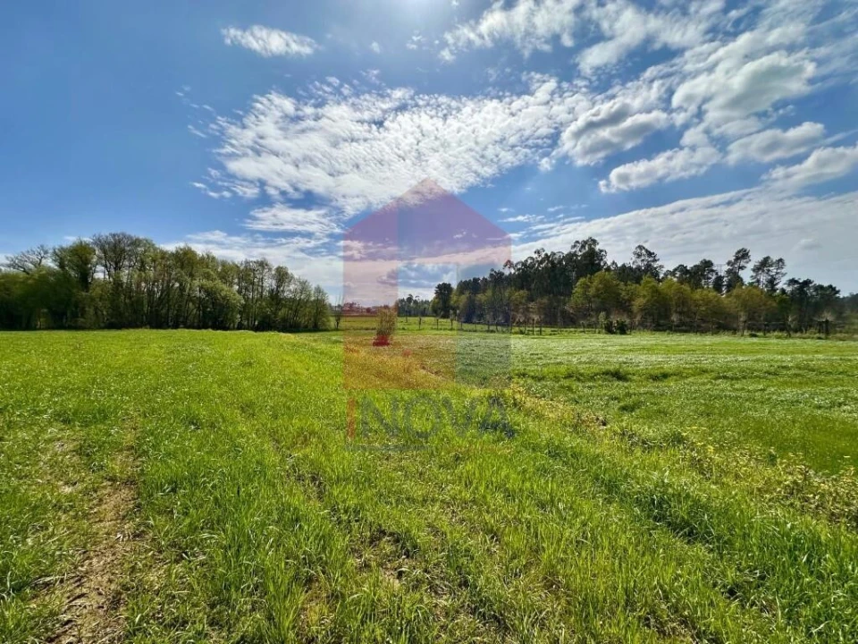 Terreno para Venda em Lanhas Foto 16