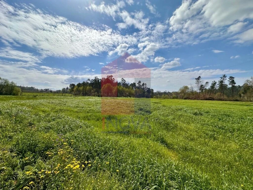 Terreno para Venda em Lanhas Foto 6